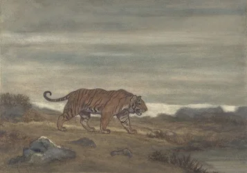 Tiger nähert sich dem Teich, 1810-75