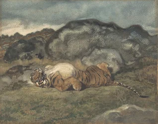 Tiger rollt auf dem Rücken, 1810-75