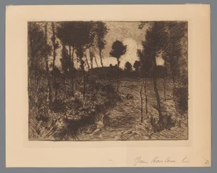 Waldweg am Abend