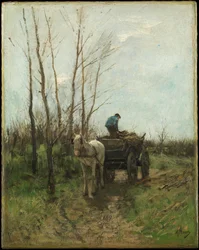 Holzsammeln