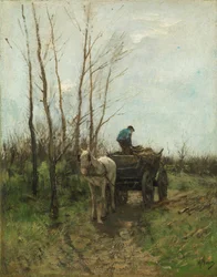 Holz sammeln