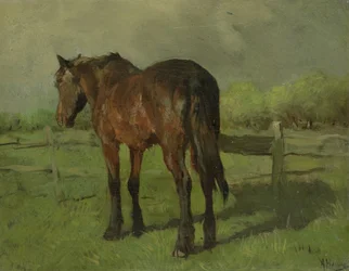 Pferd