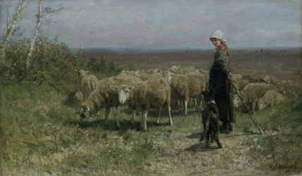 Hirtin, 1858-1888