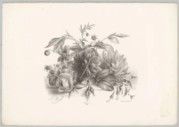 Rosen, Dahlien und Fuchsien