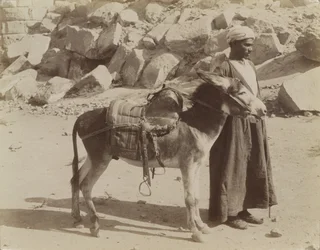 Bourier und Bouriquer, Ägypten