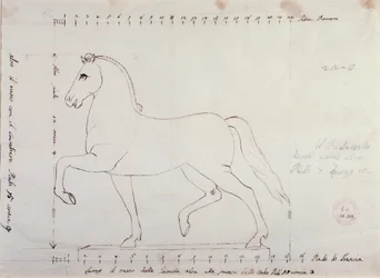 Studie für ein Pferd für ein Reitermonument