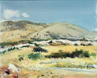 Gargano, 1981