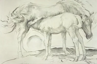 Pferde bei Coolmore, 1990