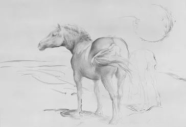 Pferde bei Coolmore, 1990
