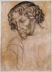 Büste eines bärtigen Mannes, Kopf nach links geneigt. Zeichnung aus der Werkstatt von Antonio di Puccio Pisano dit Pisanello (1395-1455)