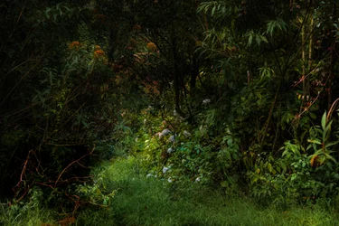 Wege, 2015