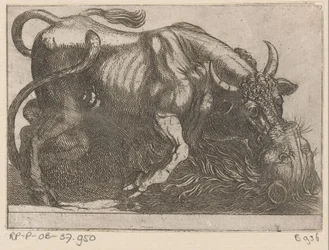 Ein Stier kämpft mit einem Löwen (Vechtende dieren)