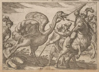 Jagd auf einen Strauß