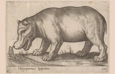 Nilpferd