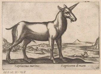 Steinbock als Meereswesen (Capricornus marinus, Tiere und Fabelwesen, Nova raccolta de li animali piu curiosi del mondo)