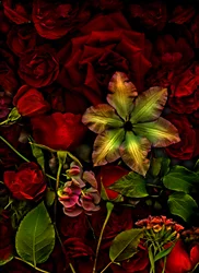 Artfloral Nr. 7