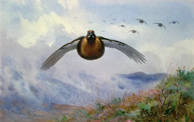 Fliegendes Moorhuhn