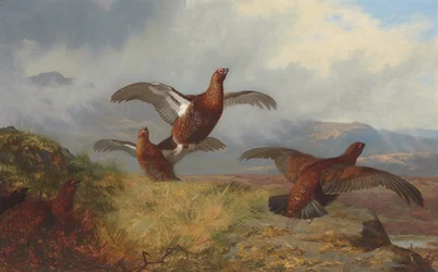 Fliegendes Moorhuhn