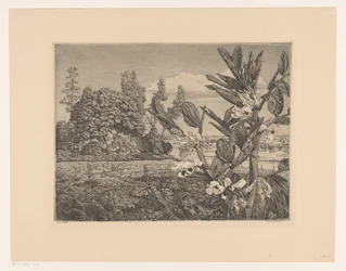 Landschaft mit Blumen