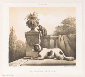 Hund und Affe auf der Terrasse