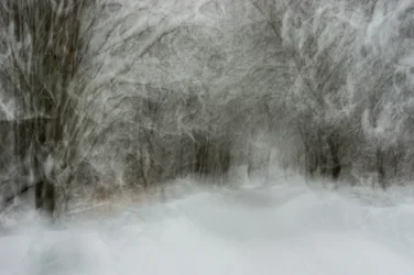 Träumiger Schneepfad