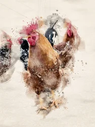 Aquarell Bauernhof Hähne