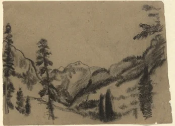 Berglandschaft mit Tannen