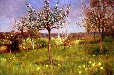 Frühling im Obstgarten