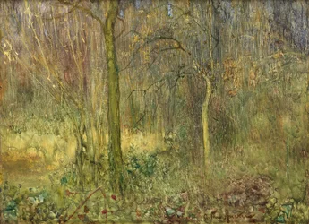 Waldlichtung