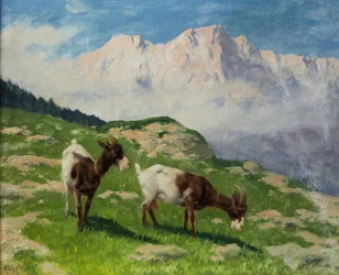 Ziegen in Berglandschaft