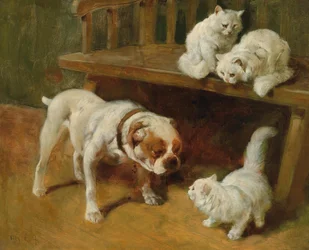 Hund und Katzen