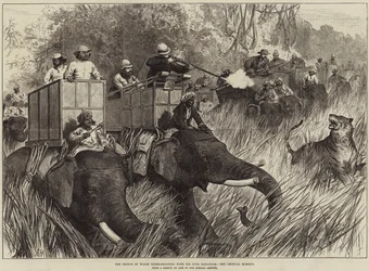 Der Prinz von Wales beim Tigerjagen mit Sir Jung Bahadoor, der kritische Moment