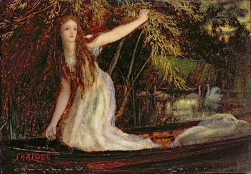 Die Dame von Shalott