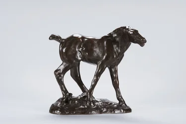 Fohlen (Bronze)