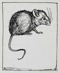 Eine Maus