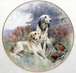 Ein Paar Setter bewacht zwei Moorhühner
