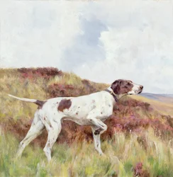 Ein Pointer