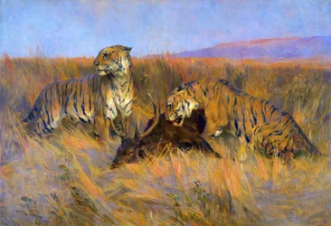 Tiger beim Töten