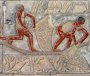 Kunst Ägypten: Fischen bis zur Erschöpfung. Das College ähnelt der Mastaba von Mereruka.