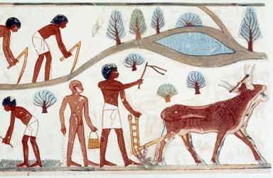 Kunst Ägypten: Pflügszene. Faksimile aus Nakht, Zeit von Amenophis II (ca. 1450-1425)