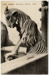 Wasserspeier oder Chimäre der Kathedrale Notre Dame de Paris, erbaut zwischen 1163 und dem 14. Jahrhundert - Postkarte, Selva-Sammlung