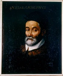 Porträt von Andrea Cesalpino