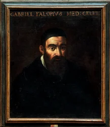 Porträt von Gabriele Falloppia oder Falloppio
