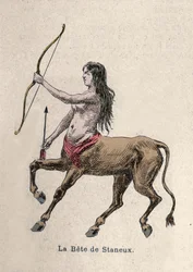 Darstellung der Bete von Staneux Illustration