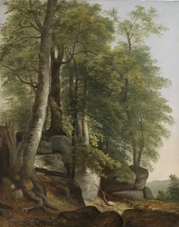 Landschaft mit Felsen und Bäumen