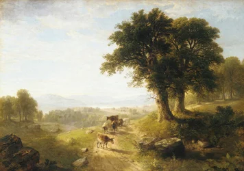 Flusslandschaft