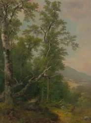Studie von Bäumen