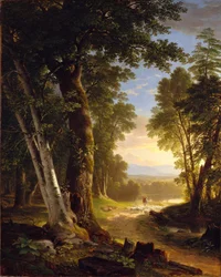Die Buchen, 1845