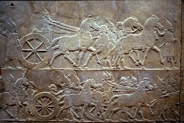 Ashurbanipal in der Schlacht von Til-Tuba