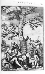 Stammbaum Adams, 1675
